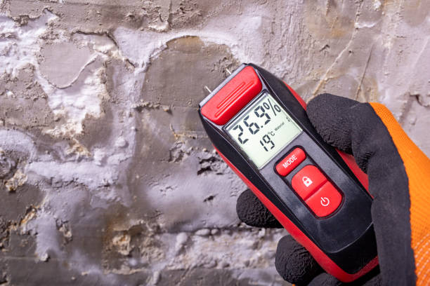 Crawl Space Mold Removal in Cairo, GA