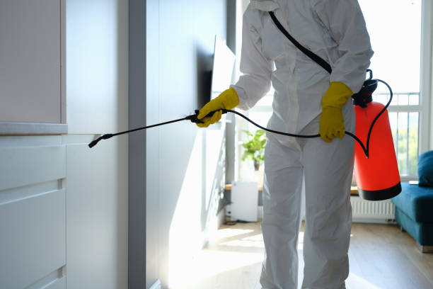 Best Office Mold Removal Services  in Cairo, GA